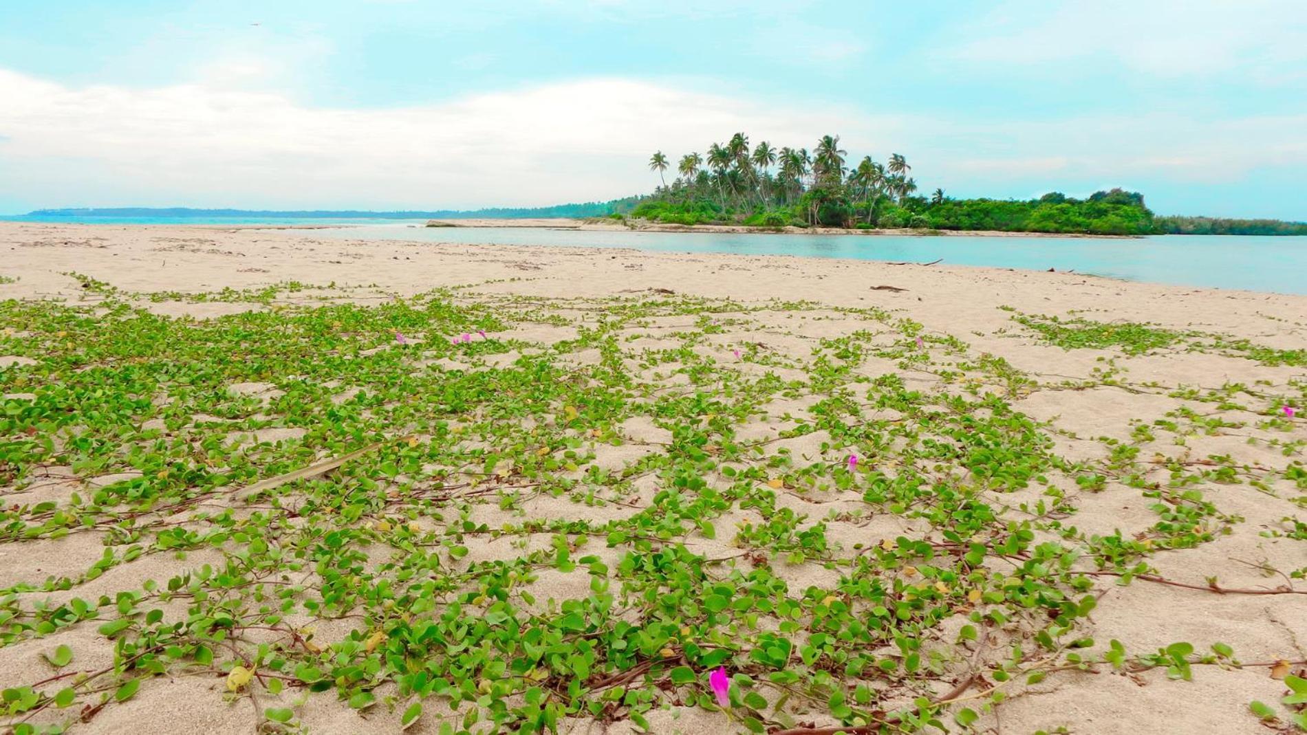 Villa Modara Tangalle Buitenkant foto